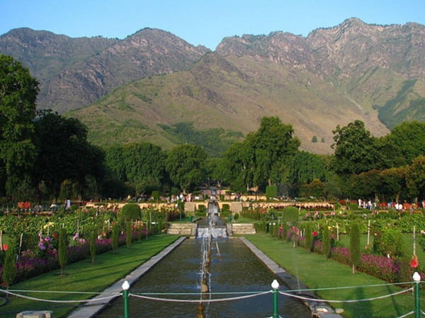 A View of Nishat Bagh, Mughal Garden, Srinagar.