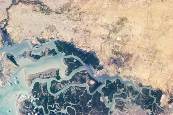 The Indus Delta photographed by an astronaut from the International Space Station. | NASA Earth Observatory.