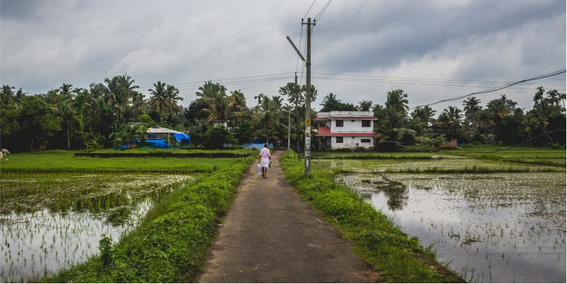 India,  economy,  resilience