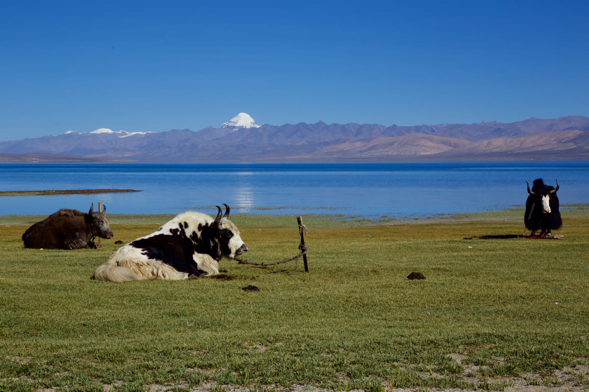 India-China Relations in Water Management: from Conflict to Cooperation